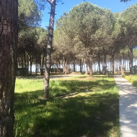 Villa Miro Villa