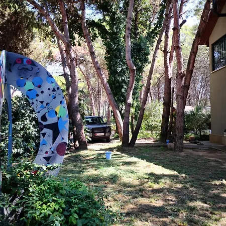 Villa Villa Miro