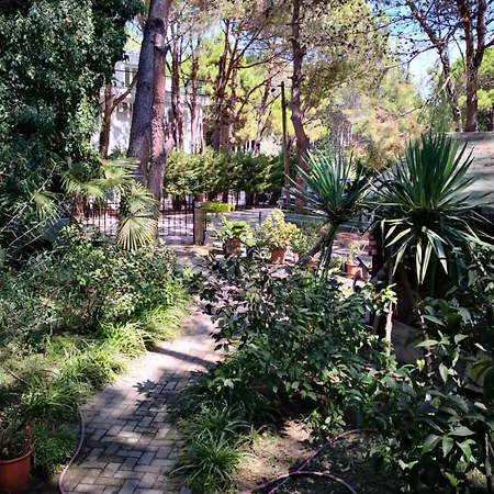 Villa Villa Miro *